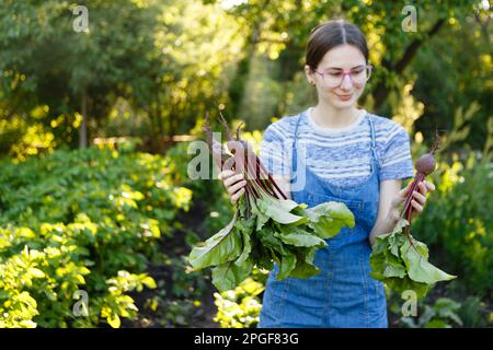 Junge Frau erntet frische rote Rüben, die sie auf ihrem Hof angebaut hat Stockfoto