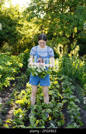 Junge Frau erntet frische rote Rüben, die sie auf ihrem Hof angebaut hat Stockfoto