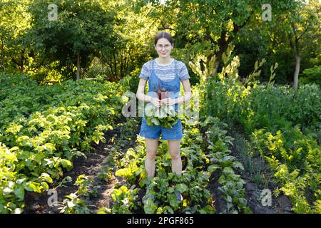 Junge Frau erntet frische rote Rüben, die sie auf ihrem Hof angebaut hat Stockfoto