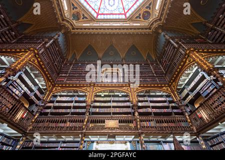 Wunderschöne Aussicht auf das Innere der historischen Bibliothek in Real Gabinete Stockfoto