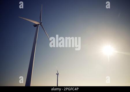 Windturbinengeneratoren für die Erzeugung erneuerbarer elektrischer Energie Stockfoto