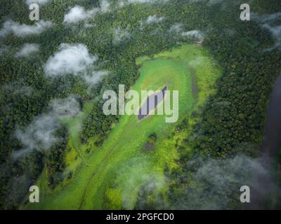 Wunderschöner Blick von oben auf die Drohne auf den großen Fluss und den grünen Regenwald Stockfoto