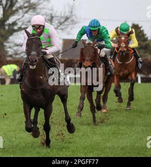 2023 Down Royal Racecourse Lisburn Nordirland. 17. März 2023. Bluegrass Stamm 30 Chase. Rennpferd Burrows Saint (2), geritten von Jockey Conor McNamara und ausgebildet von W P Mullins. Stockfoto