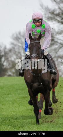 2023 Down Royal Racecourse Lisburn Nordirland. 17. März 2023. Bluegrass Stamm 30 Chase. Rennpferd Burrows Saint (2), geritten von Jockey Conor McNamara und ausgebildet von W P Mullins. Stockfoto