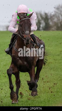 2023 Down Royal Racecourse Lisburn Nordirland. 17. März 2023. Bluegrass Stamm 30 Chase. Rennpferd Burrows Saint (2), geritten von Jockey Conor McNamara und ausgebildet von W P Mullins. Stockfoto