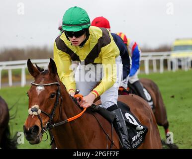 2023 Down Royal Racecourse Lisburn Nordirland. 17. März 2023. Bluegrass Stamm 30 Chase. Rennpferd Fairyhill Run (9), geritten von Jockey Liam Quinlan und ausgebildet von John Patrick Ryan. Stockfoto