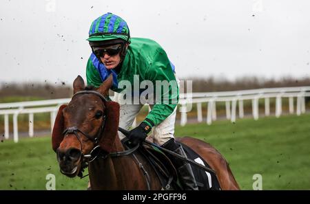 2023 Down Royal Racecourse Lisburn Nordirland. 17. März 2023. Bluegrass Stamm 30 Chase. Rennpferd Portstorm (7), geritten von Jockey Shane O'Callaghan und ausgebildet von C A McBratney. Stockfoto