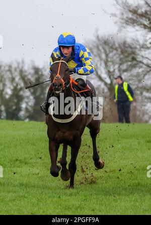 2023 Down Royal Racecourse Lisburn Nordirland. 17. März 2023. Bluegrass Stamm 30 Chase. Rennpferd ROI Mage (1), gefahren von Jockey Mark McDonagh und ausgebildet von Patrick Griffin. Stockfoto