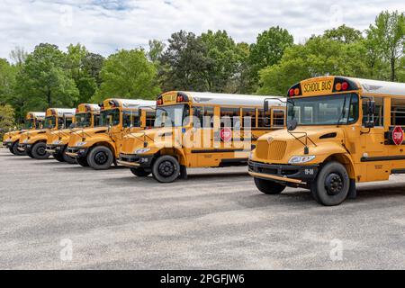 Eine Reihe leerer gelber Schulbusse, die darauf warten, Kinder zur Schule in Montgomery, Alabama, USA, zu bringen. Stockfoto