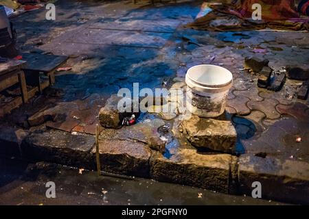 Straßenratten, Mumbai, Indien Stockfoto