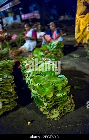 Chat-Verteilung, Mumbai, Indien Stockfoto