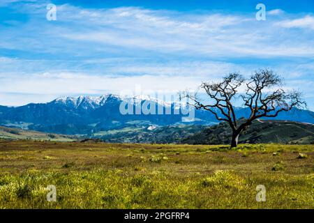 Die schneebedeckten Gipfel der Santa Ynez Berge im Winter, nachdem ein stimmungsvoller Fluss enorme Mengen an Feuchtigkeit in die Gegend brachte. Stockfoto