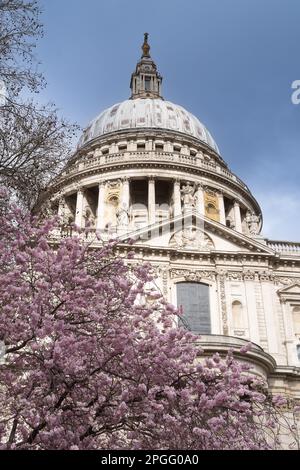 St. Paul's Cathedral, Frühling Stockfoto