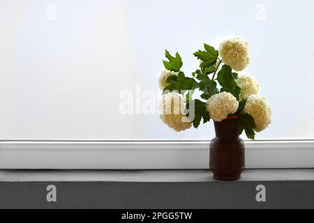 Weiße Frühlingsblumen in Vase auf Fensterbank. Schneeballblüten im Busch. Stockfoto