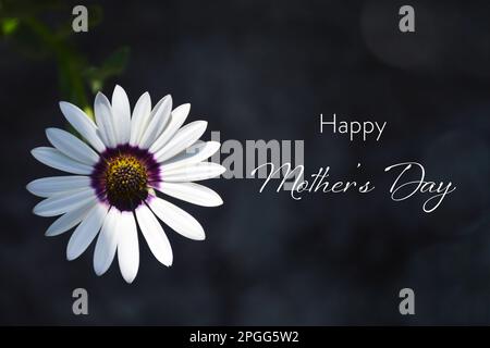 Glückwunschkarte zum Muttertag. Frühlingsblume im Garten. Stockfoto