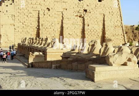 RAM führte die Sphinx im Tempel von Karnak in Luxor an Stockfoto