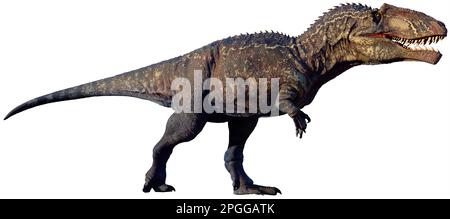 Giganotosaurus aus der Kreidezeit 3D Illustration Stockfoto