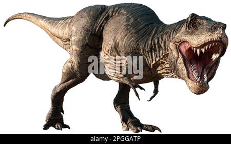 Tyrannosaurus aus der Kreidezeit 3D-Illustration Stockfoto