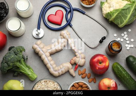 Anordnung von Darmmodellen und Produkten zur Unterstützung der Verdauung auf grauem Tisch, Draufsicht Stockfoto