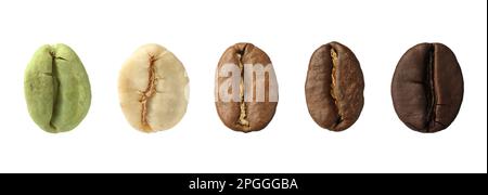 Schritte beim Rösten von Kaffeebohnen auf weißem Hintergrund, Collage. Bannerdesign Stockfoto