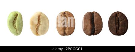 Schritte beim Rösten von Kaffeebohnen auf weißem Hintergrund, Collage. Bannerdesign Stockfoto