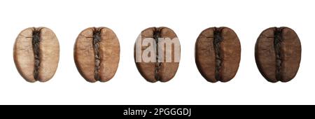 Schritte beim Rösten von Kaffeebohnen auf weißem Hintergrund, Collage. Bannerdesign Stockfoto