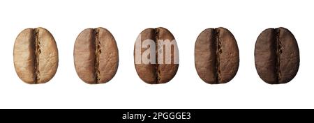 Schritte beim Rösten von Kaffeebohnen auf weißem Hintergrund, Collage. Bannerdesign Stockfoto