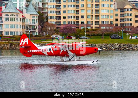 Harbour Air Turbo Otter DHC-3T Landung in Victoria Harbour British Columbia Kanada Stockfoto