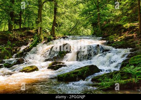 Wasserfall im Harz Selke Wasserfall Stockfoto