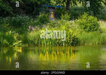 Neudorf im Kunstteich Harz Stockfoto