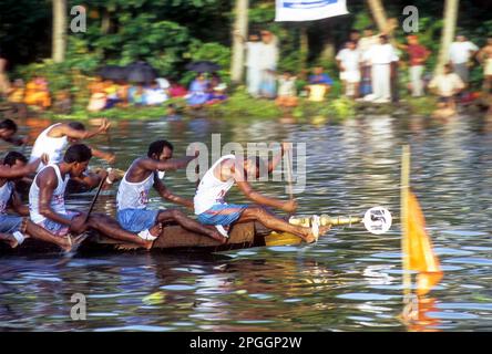 Schlangenbootrennen in Payippad bei Haripad, Kerala, Indien, Asien Stockfoto