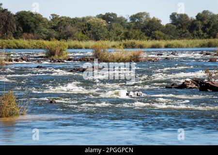 Okavango, Popa Falls, Divundu, Caprivi, Namibia, Popa Falls, Popa Falls Stockfoto