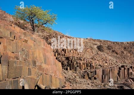 Orgelpfeifen, Basaltsäulen, Khorixas, Damaraland, Namibia Stockfoto