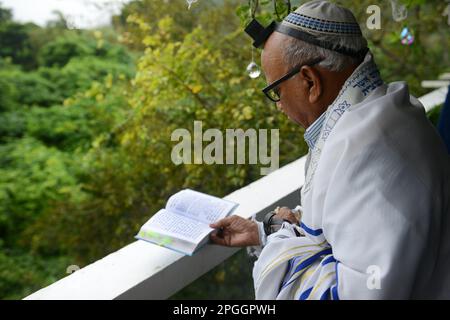 Ein jüdischer Mann, der Talit und Tefillin während des Shacharit-Gebets trug. Stockfoto