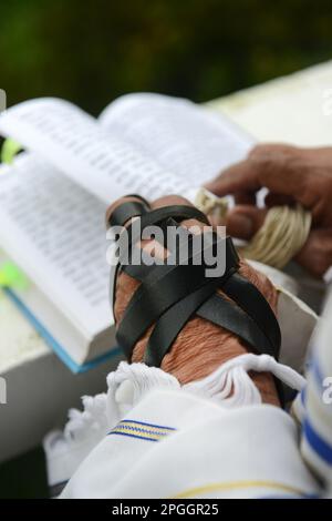 Ein jüdischer Mann, der Talit und Tefillin während des Shacharit-Gebets trug. Stockfoto