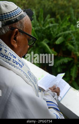 Ein jüdischer Mann, der Talit und Tefillin während des Shacharit-Gebets trug. Stockfoto