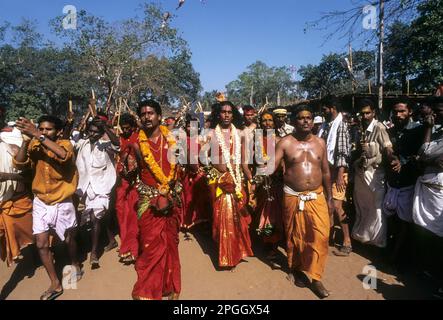 Velichappadu, Bharani Festival in Kodungallur, Kerala, Indien Stockfoto