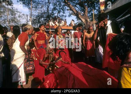 Velichappadu Oracles in Bharani Festival in Kodungallur, Kerala, Indien, Asien Stockfoto