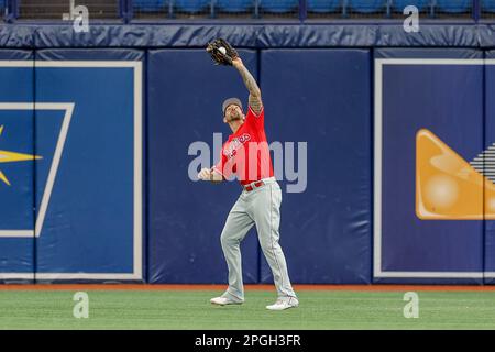 22. März 2023; St. Petersburg, Florida, USA; Philadelphia Phillies Right Fielder Nick Castellanos (8) fängt während eines MLB-Frühjahrstrainings eine Pop-Fliege Stockfoto