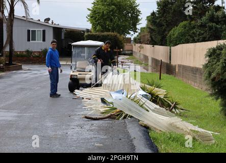 Carpinteria, Kalifornien, USA. 22. März 2023. Am Dienstag, den 21. März 2023 um 6:00pm, schwirrte ein verrückter Tornado durch den Sandpiper Mobile Home Park in Carpinteria, Kalifornien. Tornados sind sehr ungewöhnlich an der Küste und geschahen während des atmosphärischen Flussturms, der bereits Bewohner des Santa Barbara County in höchster Alarmbereitschaft hatte. Der Wirbelwind riss Dächer ab, zerstörte Autohäfen und verletzte mindestens eine Person. Kredit: ZUMA Press, Inc./Alamy Live News Stockfoto