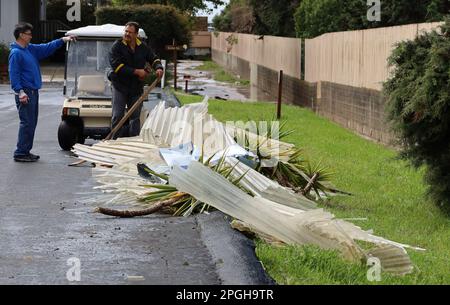 Carpinteria, Kalifornien, USA. 22. März 2023. Am Dienstag, den 21. März 2023 um 6:00pm, schwirrte ein verrückter Tornado durch den Sandpiper Mobile Home Park in Carpinteria, Kalifornien. Tornados sind sehr ungewöhnlich an der Küste und geschahen während des atmosphärischen Flussturms, der bereits Bewohner des Santa Barbara County in höchster Alarmbereitschaft hatte. Der Wirbelwind riss Dächer ab, zerstörte Autohäfen und verletzte mindestens eine Person. Kredit: ZUMA Press, Inc./Alamy Live News Stockfoto