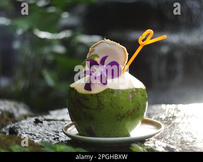 Kokoswasser in frischen Kokosfrüchten liegt auf einem Felsen in der Nähe des Wasserfalls. Stockfoto
