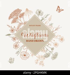 Wiesenblumen Rahmen. Handgezeichnete Feldumrandung mit Wildblumen. Vektordarstellung im Skizzenstil. Ästhetisches Botaniedesign für Logo und Verpackung Stock Vektor