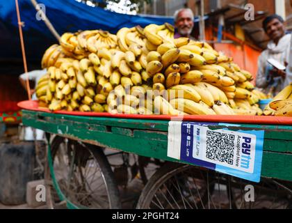 Banana Street Verkäufer mit paytm Logo für bargeldlose Bezahlung auf seinem Warenkorb in Paharganj, Neu-Delhi, Indien Stockfoto