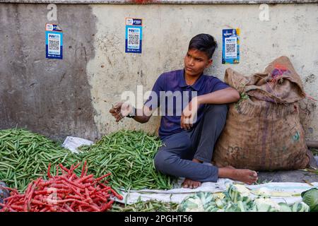 Gemüsehändler mit „paytm Cash Pay“-Logo an der Wand in Paharganj, Neu-Delhi, Indien Stockfoto