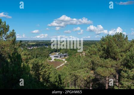 Landschaft im Naturschutzgebiet Schoorlser Dunes mit Blick auf Buitencentrum, Schoorl, Nordholland, Niederlande, Europa Stockfoto