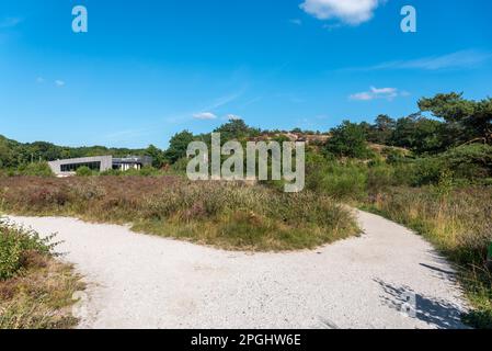 Buitencentrum im Naturschutzgebiet Schoorlser Dunes, Schoorl, Nordholland, Niederlande, Europa Stockfoto