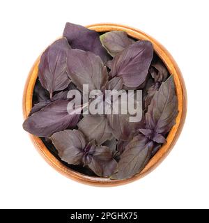 Basilikumblätter aus rotem rubin, in einer Holzschüssel. Frischer Ocimum basilicum Purpurascens, eine Variante von süßem Basilikum, mit ungewöhnlichen rötlich-violetten Blättern. Stockfoto