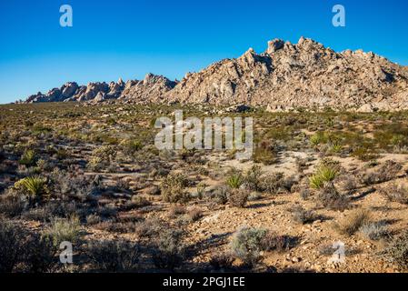 Eine weite Wüstenansicht von blassen Granitfelsen, die über eine mit Sträuchern bedeckte Ebene unter einem klaren blauen Himmel im Mojave National Preserve, Kalifornien, aufragen Stockfoto