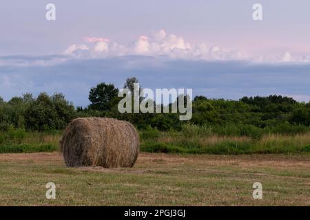 Heuballen im Feld bei Dämmerung, einzelner runder Heuballen auf flachem Feld und Sonnenschein in der Dämmerung, ruhige ländliche Landschaft Stockfoto